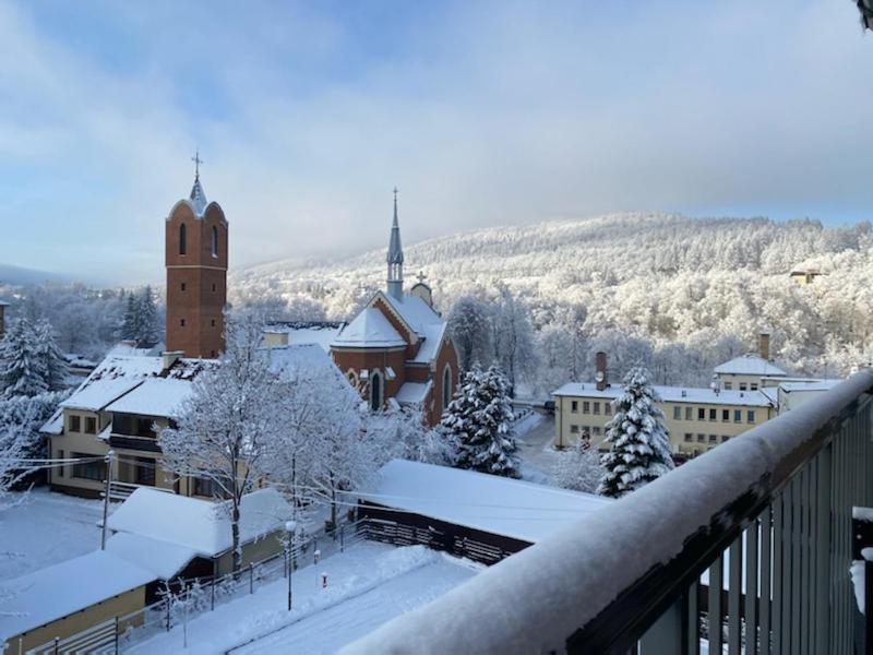 Bieszczady Apartament "Cicha Woda" Leilighet Ustrzyki Dolne Eksteriør bilde